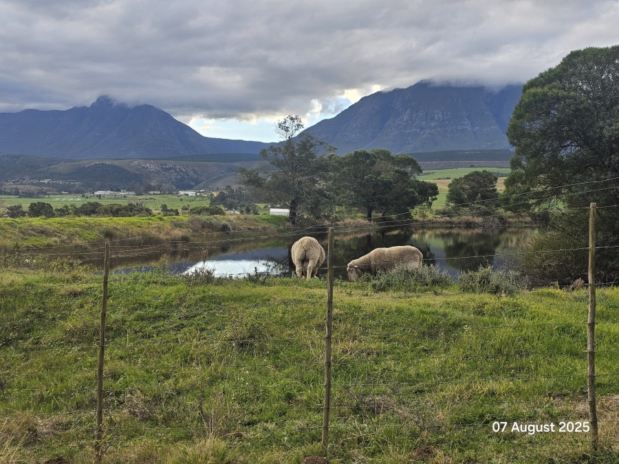 3 Bedroom Property for Sale in Riversdale Rural Western Cape